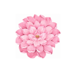 Pink Lotus 2'li Kokteyl Servis - Görsel 2