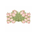 Blush Tulips 2'li Amerikan Servis - Görsel 2